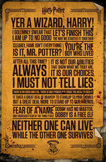 GB eye Harry Potter Poster Quotes 61 x 91.5cm Maxi Poster
