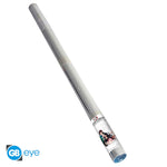 GB eye Demon Slayer Tanjiro & Nezuko Snow 61 x 91.5cm Maxi Poster