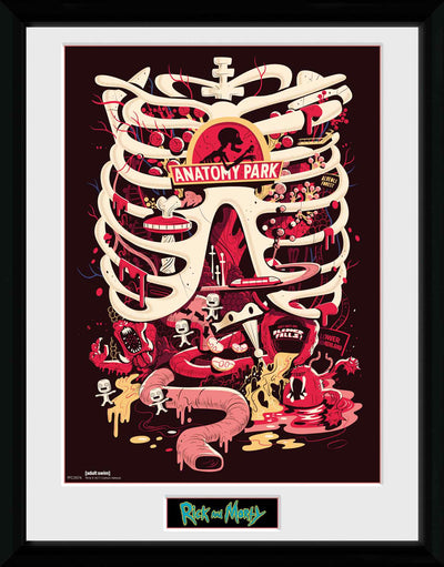 GB eye Rick & Morty Anatomy Park 30 x 40cm Framed Collector Print