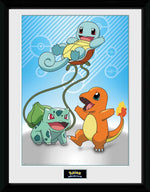 GB eye Pok�mon Kanto Starters  30 x 40cm Framed Collector Print