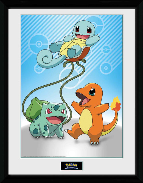 GB eye Pok�mon Kanto Starters  30 x 40cm Framed Collector Print