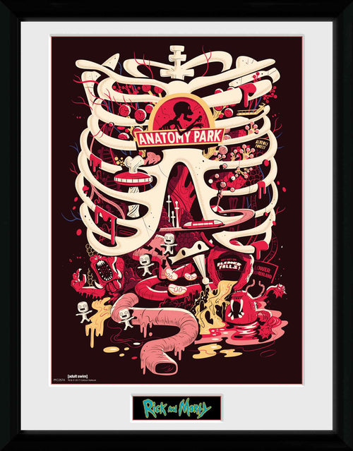 GB eye Rick & Morty Anatomy Park 30 x 40cm Framed Collector Print