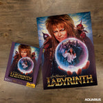 Labyrinth 500 Piece Jigsaw Puzzle